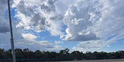 Tiny Tots Racing | All Ages