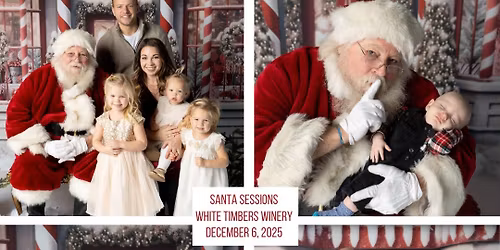Professional pictures and cookies with Santa!