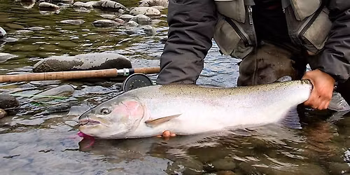 Pub Night Fundraiser