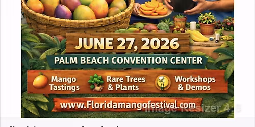 Mango Festival 