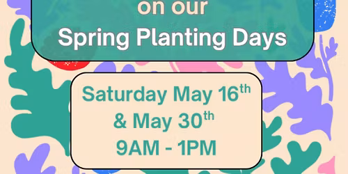 Spring Garden Cleanup & Planting