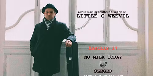 LITTLE G WEEVIL @ No Milk Today