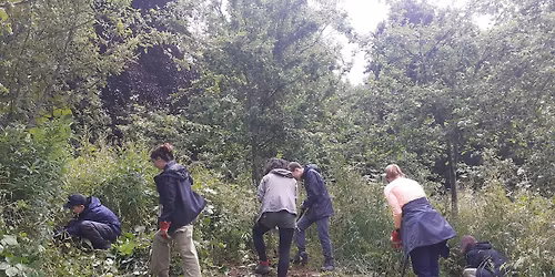 Youth Rangers at Robinswood Hill - EXTRA AM SESSION