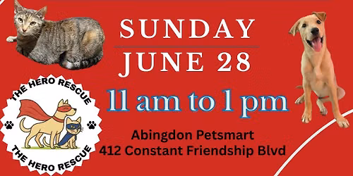 Adoption event at Petsmart