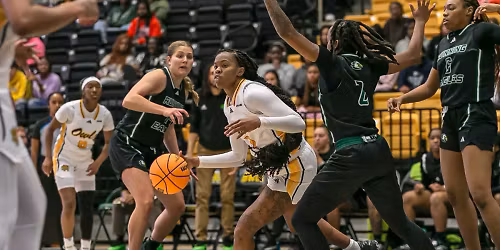 Parking Kennesaw State Owls at Florida International Panthers Womens Basketball