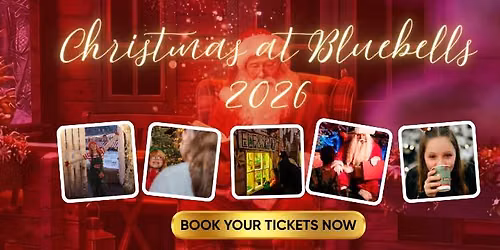 Christmas at Bluebells