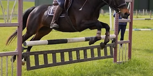 Back to 'schooling' show jumping\/poles to jump series #1