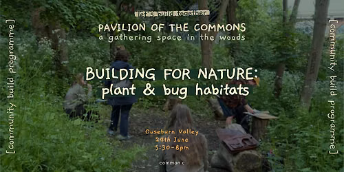Building for Nature: Plant & Bug Habitats