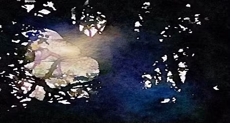 Winter Solstice Ceremony