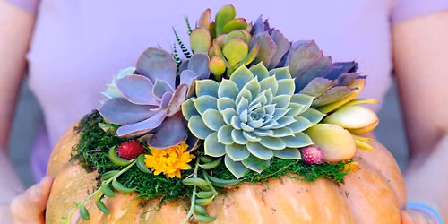 FALL SUCCULENT CENTERPIECE CRAFTY CLASS