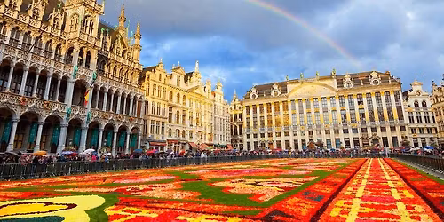 Brussels Flower Carpet 2026 by EuroTrip Adventures