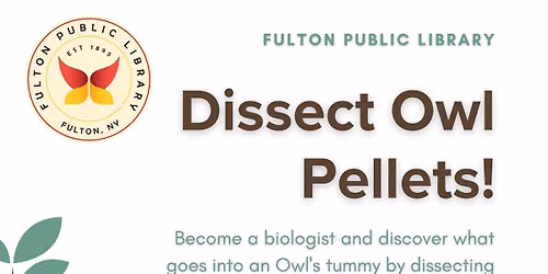 Dissect Owl Pellets!