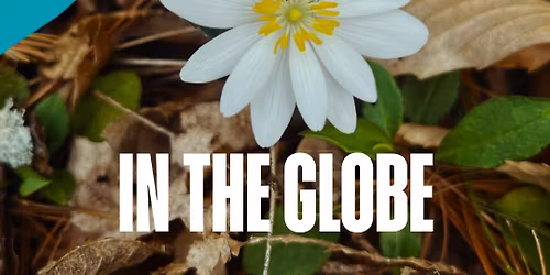 Spring Ephemerals Hike in the Globe