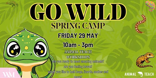 Go Wild Spring Camp