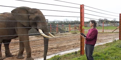 Voices for Elephants: An Evening of Music & Conservation