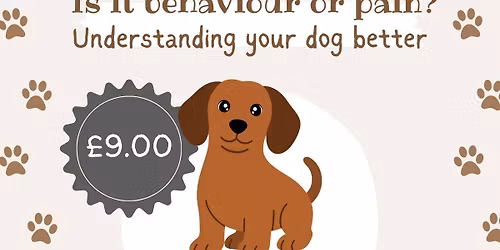 ' Is it behaviour or pain? Understanding your dog better.'