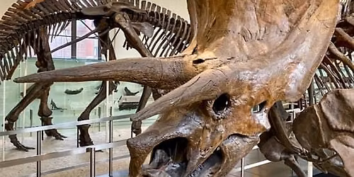 Museum of Natural History Murder Mystery & Scavenger Hunt