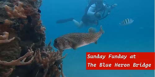 Sunday Funday- Blue Heron Bridge Group Trip with Gaspar's Dive Shop