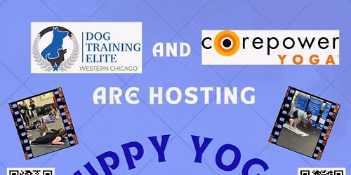 Puppy yoga with Hungarian Mudi for a great cause-Fundraiser