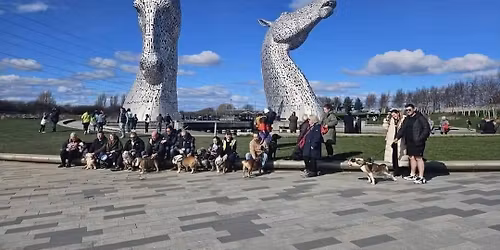 Scotland (The Kelpies) Bulldog Walk for GBSR UK