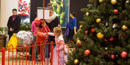 The Lighting of the Sharing Tree