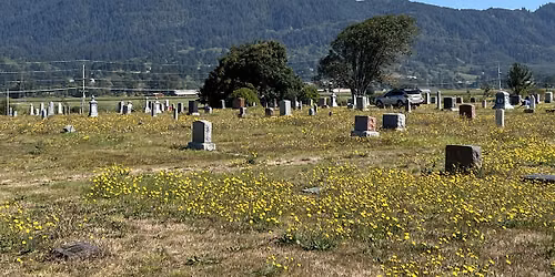More Than Headstones: The Work of Historic Cemetery Preservation
