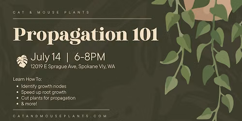 Propagation 101 Beginner's Houseplant Workshop