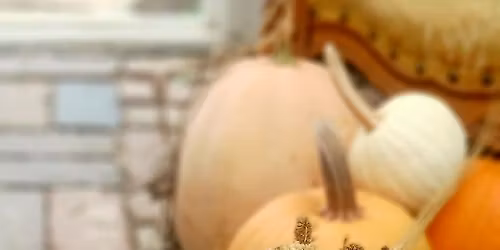 Succulent & Dried Floral Pumpkin Workshop @ The County Seat, Morris, IL