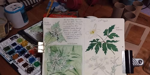 Art Club at Dungworth - Spring flowers