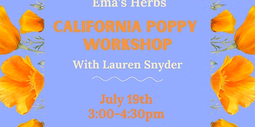 California Poppy Workshop with Lauren Snyder