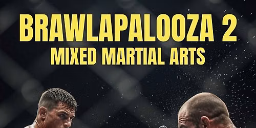 Brawlapalooza 2: MMA Cage Fighting