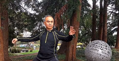 Tai Chi with Nelson Ng