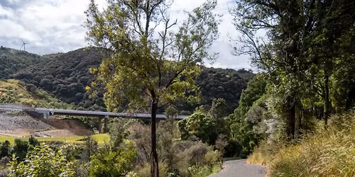 Te Ahu A Turanga - Western Tracks (Easy to Easy\/Mod ~ Day Tramp - Pick Your Own Distance)