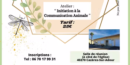 \ud83d\udc36\ud83d\udc30 Initiation \u00e0 la Communication Animale \ud83d\udc31\ud83d\udc34