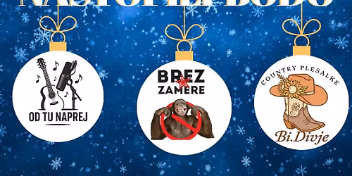 Konjeni\u0161ki bo\u017ei\u010dni koncert