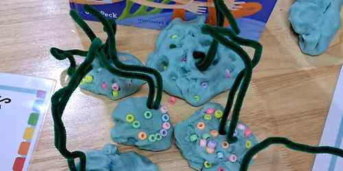 Color Reef Salt Dough Craft