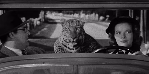 Midday Movie Classics: Bringing Up Baby (1938)