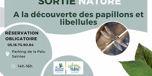 A la d\u00e9couverte des papillons et des libellules