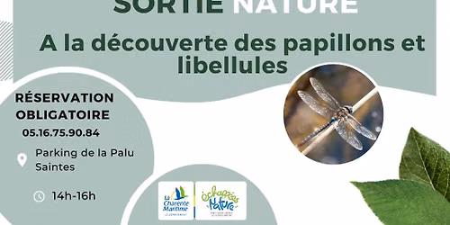 A la d\u00e9couverte des papillons et des libellules