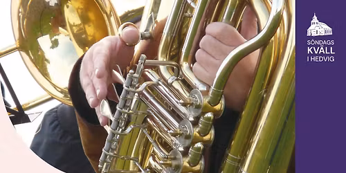 S\u00f6ndagskv\u00e4ll i Hedvig: AirCraft Big Band 40 \u00e5r - Reflektioner