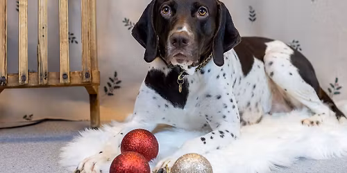 GRATIS JULEFOTOGRAFERING