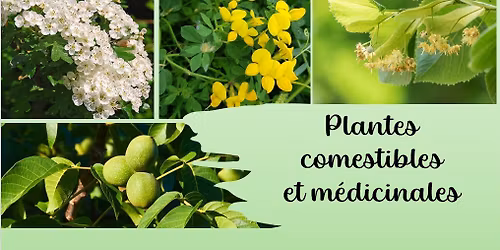 Plantes comestibles (Boitsfort)