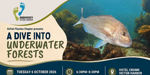 A Dive into Underwater Forests