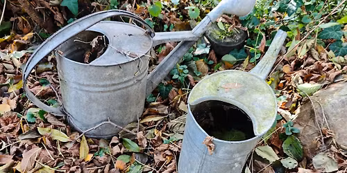 Wyprzeda\u017c gara\u017cowa 