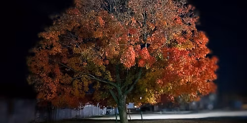 Iowa City Tarot: October Meetup