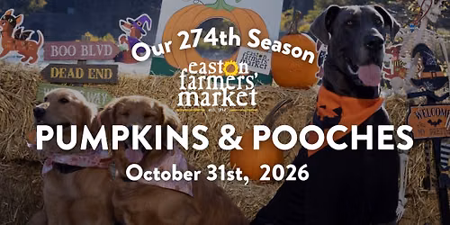 Pumpkins & Pooches 
