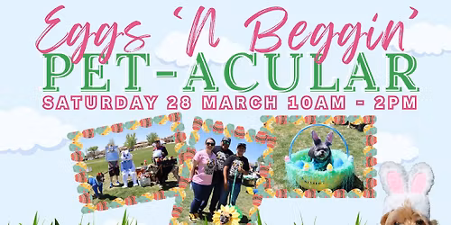 Eggs 'N Beggin Pet-Acular