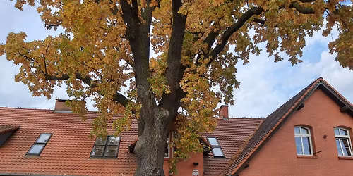 III PECE\u0143SKI DZIE\u0143 PASJONAT\u00d3W