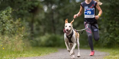 VOM Dogrun Stavanger 2026