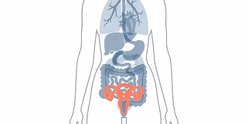 WOMEN' HEALTH UPDATE